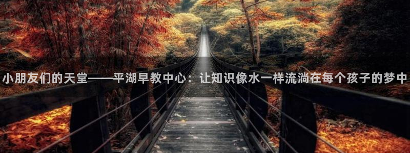 天顺娱乐大连：小朋友们的天堂——平湖早教中心：让知识像水一样流淌在每个孩子的梦中