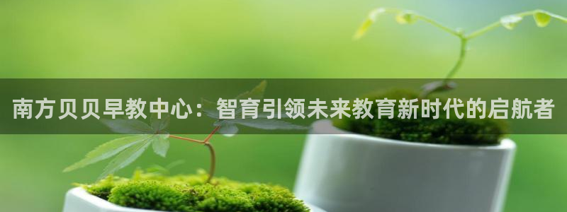 天顺娱乐云q96303：南方贝贝早教中心：智育引领未来教育新时代的启航者