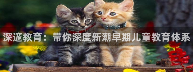 天顺娱乐关943994：深邃教育：带你深度新潮早期儿童教育体系