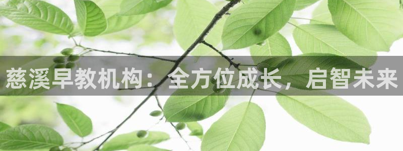 天顺娱乐平台注册：慈溪早教机构：全方位成长，启智未来