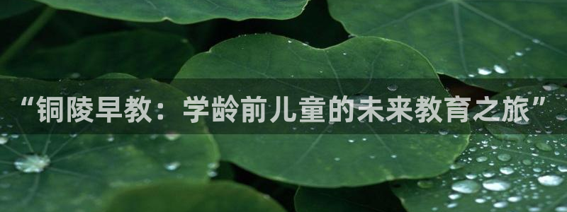 天顺娱乐拙忧70648：“铜陵早教：学龄前儿童的未来教育之旅”