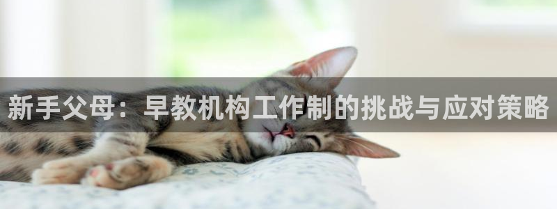 天顺娱乐主管可：新手父母：早教机构工作制的挑战与应对策略