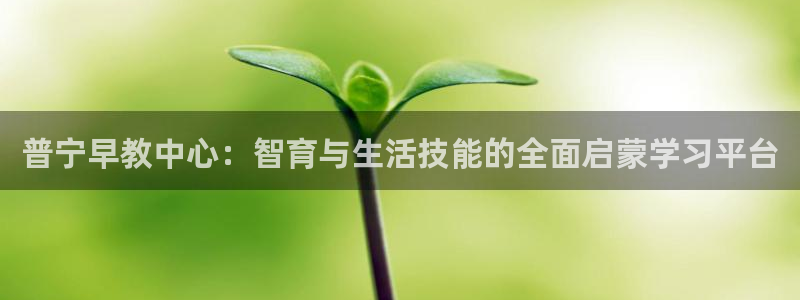 天顺娱乐垂943994：普宁早教中心：智育与生活技能的全面启蒙学习平台