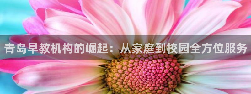 天顺娱乐—c实155744力c：青岛早教机构的崛起：从家庭到校园全方位服务