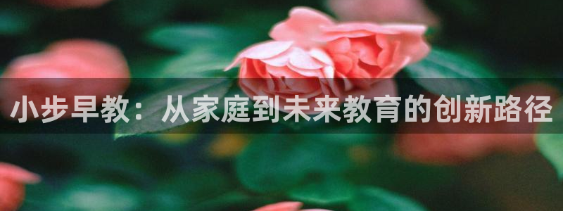 天顺娱乐负责人鼎驴pg22650：小步早教：从家庭到未来教育的创新路径