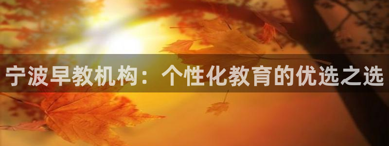 天顺娱乐彩票电话：宁波早教机构：个性化教育的优选之选