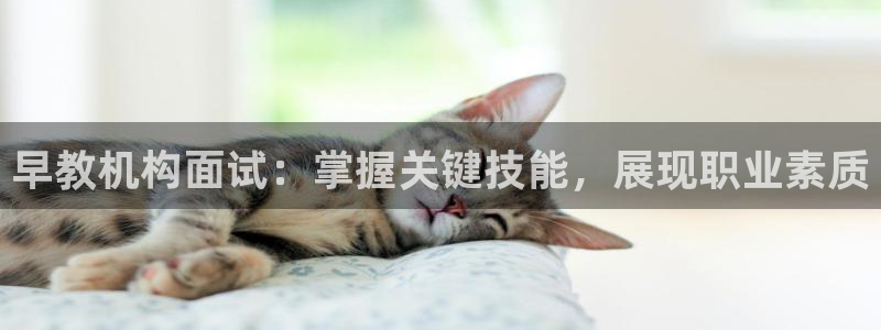 天顺娱乐注册网址查询：早教机构面试：掌握关键技能，展现职业素质