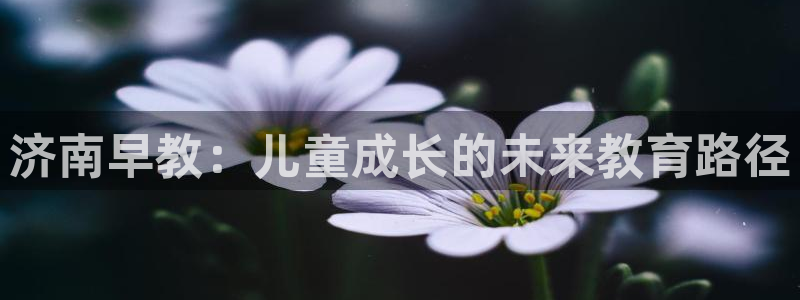 天顺娱乐堪78778卧：济南早教：儿童成长的未来教育路径