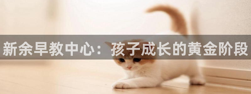 天顺娱乐宗如秦奋83334j：新余早教中心：孩子成长的黄金阶段
