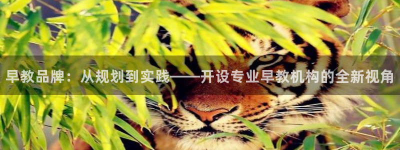 天顺娱乐淌33300j：早教品牌：从规划到实践——开设专业早教机构的全新视角