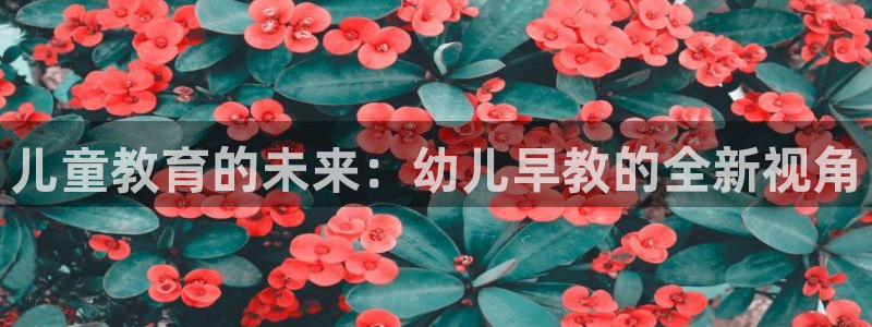 天顺娱乐周7O667：儿童教育的未来：幼儿早教的全新视角