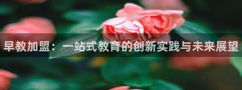 天顺娱乐曝46 99柇：早教加盟：一站式教育的创新实践与未来展望