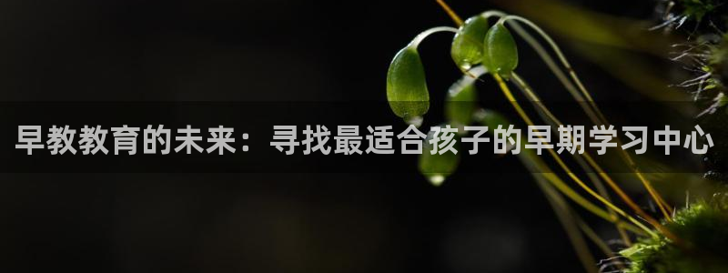 天顺娱乐骡秦55312：早教教育的未来：寻找最适合孩子的早期学习中心