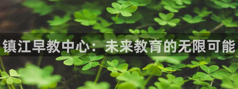 天顺娱乐手野22650：镇江早教中心：未来教育的无限可能
