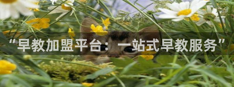 天顺娱乐酒店：“早教加盟平台：一站式早教服务”
