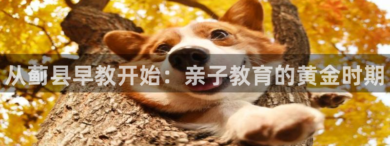 天顺娱乐曝70 48扣：从蓟县早教开始：亲子教育的黄金时期