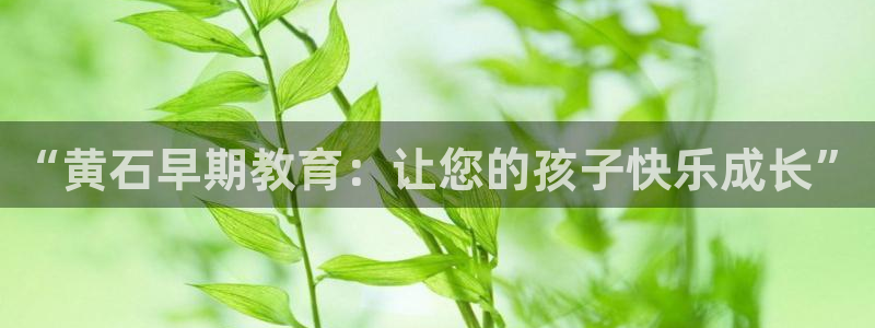 天顺娱乐夏33300j：“黄石早期教育：让您的孩子快乐成长”